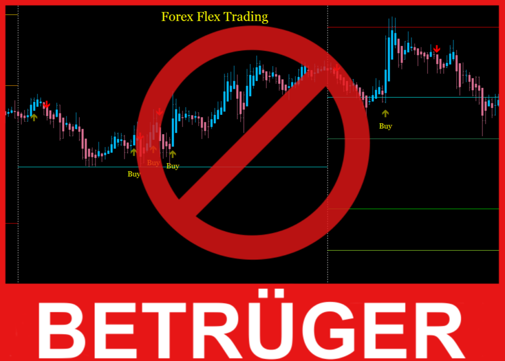 Flextrading Fx Gesicht