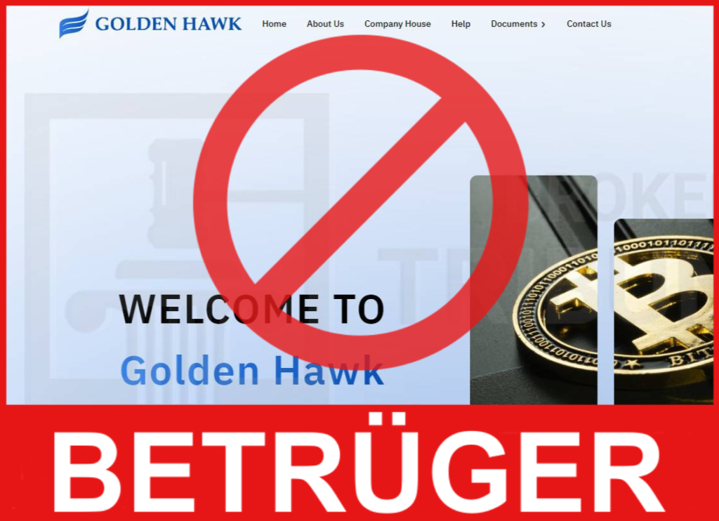 Golden Hawk Gesicht